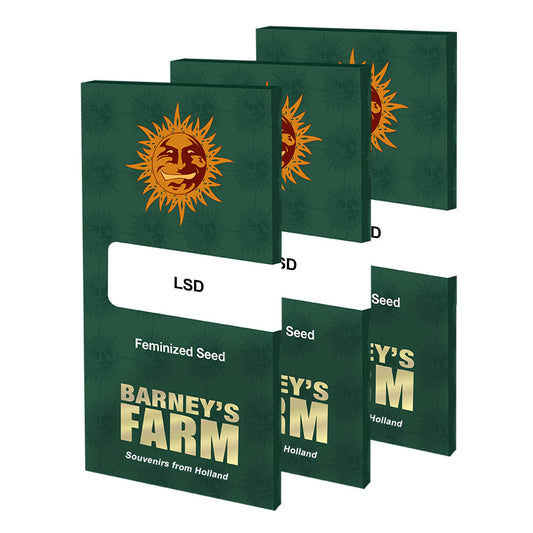 barneys farm lsd feminized cannabis seeds