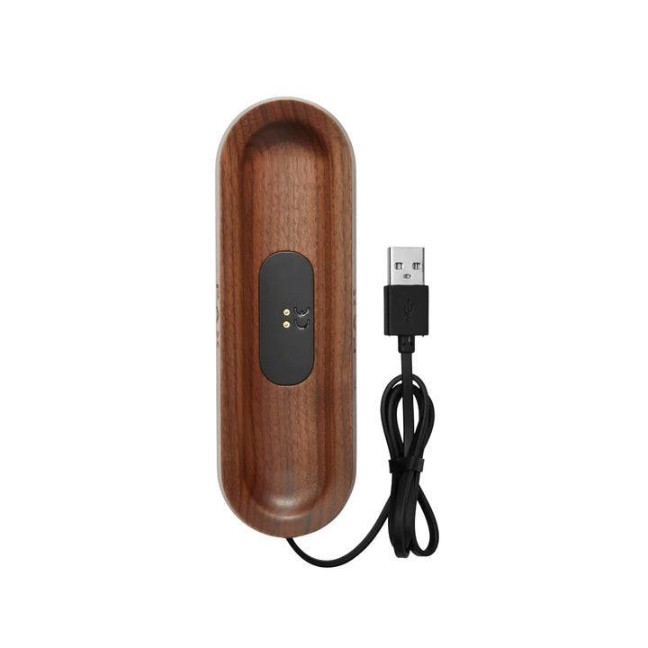 The wooden charging dock and cable.